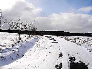 Winterweg am Haagkppel